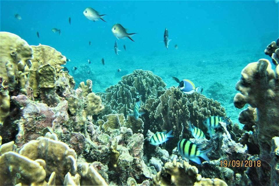 Pulau Weh Paradise Сабанг Экстерьер фото